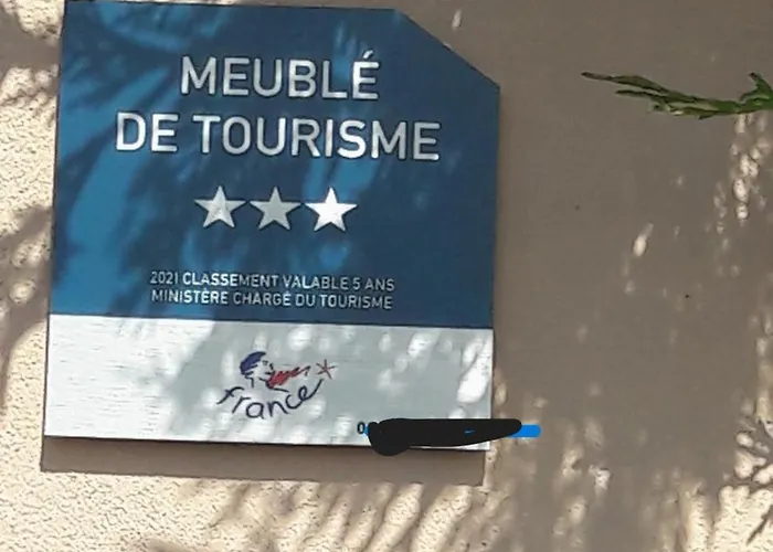 les mouettes